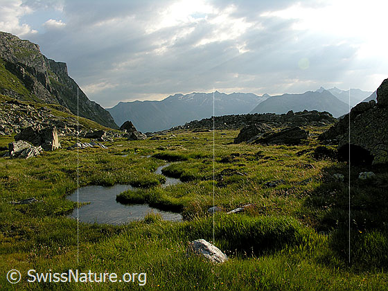 Foto: Im Mättital. Interessante Morgenstimmung über dem Binntal. Im Vordergrund urtümliche Landschaft mit kleinem Bergbach.