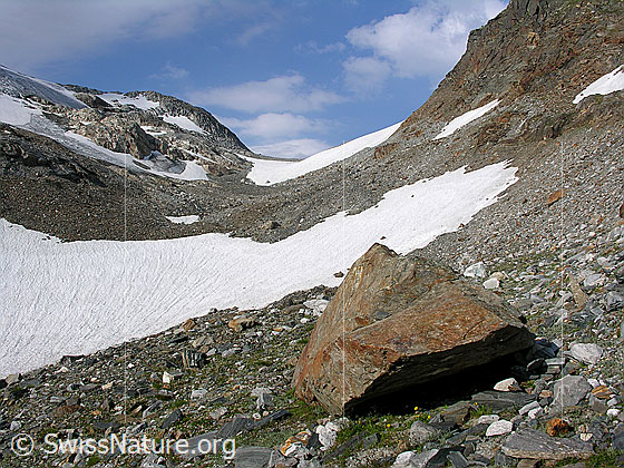 Foto: Unterhalb Steinijoch. Gleicher Standort wie Bild DSCN01380 (Juli 2000). Im Vergleich der beiden Bilder ist der Rückgang des Gletschers gut zu sehen.