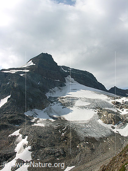 Foto: Im Aufstieg zum Rote Sulz: Blick zu Hillehorn und Mättitalgletscher