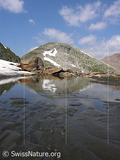 Foto: Oberblatthorn. Davor: Kleine Schwemmebene, mit Spiegelung.