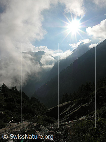 Foto: Morgenstimmung über dem Binntal.