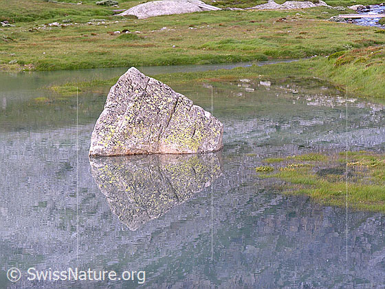 Foto: Felsblock mit Spiegelung.