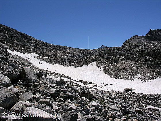 Foto: Ritterpass von N.