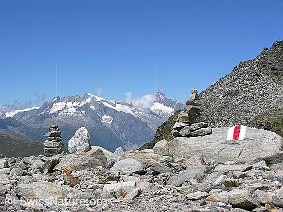 Foto: Blick von der Region Ritterpass Richtung Berner Alpen. Steinmann.