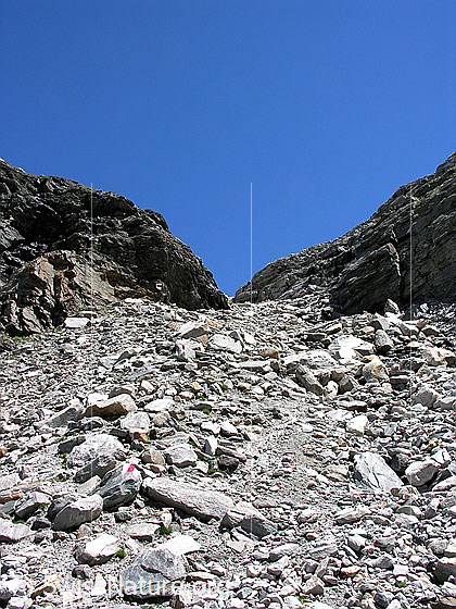Foto: Steiniger Bergweg Richtung Ritterpass.