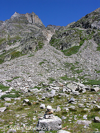 Foto: Urtümliche Gerölllandschaft im Chummibort.