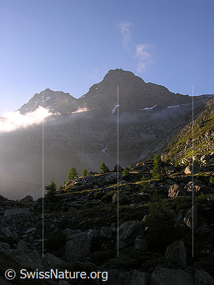 Foto: Im Aufstieg über das Flesch. Morgenstimmung um das Schwarzhorn und Fleschhorn.