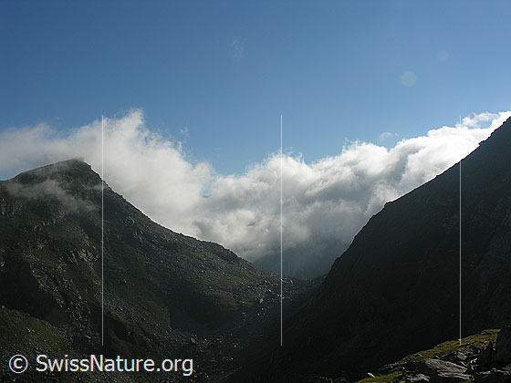 Foto: Im Aufstieg zum Fleschsee. Morgenstimmung mit Wolken über dem Stockhorn und Furggulti.
