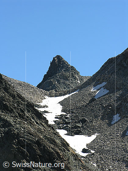 Foto: Blick vom Halbelfjoch beim Wannigletscher zum Gipfel des Schwarzhorns.