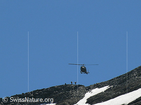Foto: Übung einer Bergrettung mit Helikopter am Scherbadung.