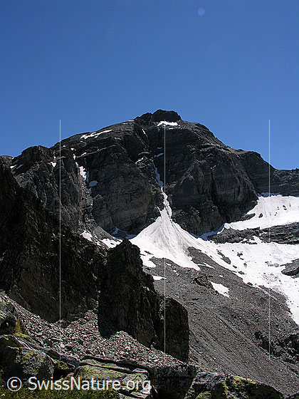 Foto: Scherbadung und Wannigletscher. Blick vom Halbelfjoch.