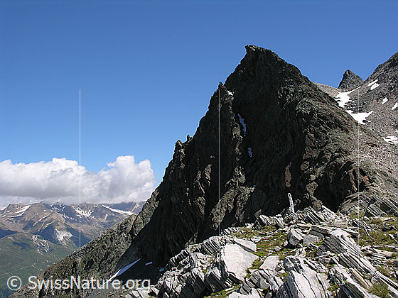 Foto: Blick vom Halbelfjoch beim Wannigletscher zum Fleschhorn.