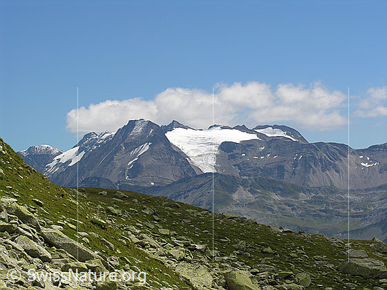 Foto: Im Abstieg vom Risihorn. Blick zum Rappehorn mit Rappegletscher, Ober Rappehorn, Turbechepf.