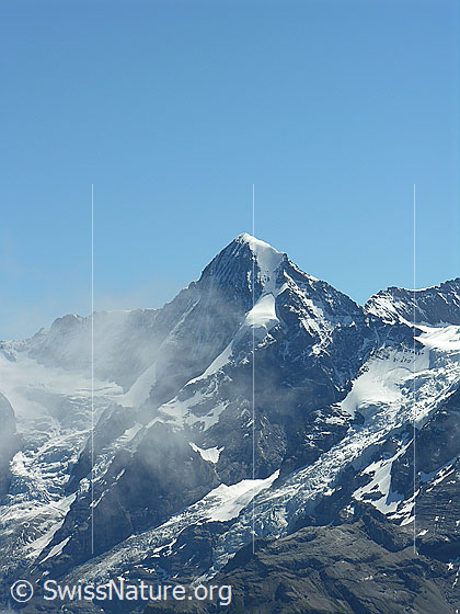 Foto: Blick vom Hundshorn zum Mönch mit Nollen. Daneben sind Eigergletscher und Guggigletscher zu sehen.