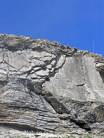 Foto: Felswand mit interessanter Felsschichtung.