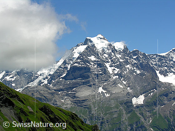 Foto: Blick von Mürren zu Jungfrau und Rottalhorn.