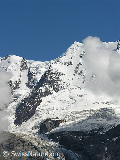 Foto: Gletscherjoch, Rottalgletscher, Äbeni Flue (Nordwand) und Stuefesteigletscher.