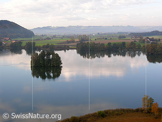 Foto: Mauensee und Wauwiler Moos, Luzerner Hinterland. Die Bäume auf der Insel und dem Ufer entlang spiegeln sich im See. Der Himmel ist leicht bewölkt.