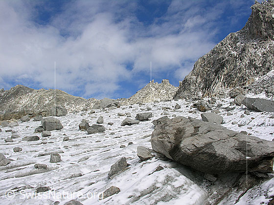 Foto: Tälligletscher mit grossen Felsblöcken übersät.