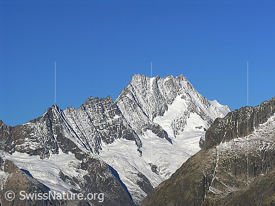 Foto: Im Aufstieg zum Sidelhorn. Blick zum Hugihorn, Klein Lauteraarhorn, Lauteraarhorn, Schreckhorn, Nässihorn und Lauteraargletscher sowie Rothoren im Vordergrund.