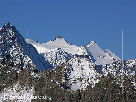 Foto: Blick vom Sidelhorn zum Agassizhorn (Spitze am linken Bildrand) und den Fiescherhörnern. Im Vordergrund Escherhorn, Vorderer Tierberg und Hinterer Zinggenstock.