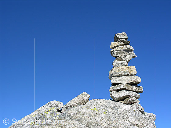 Foto: Steinmann