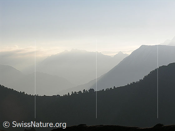 Foto: Im Aufstieg zum Sparrhorn. Blick über die Riederfurka Richtung Binntal. 
Rechts ist das Breithorn zu sehen.