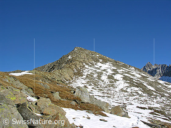 Foto: Der Gipfelaufbau des Sparrhorns.