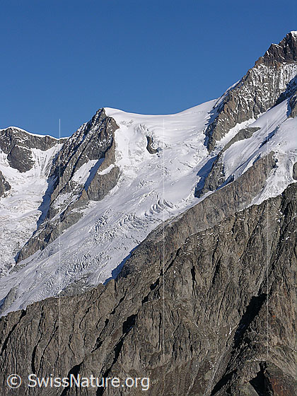 Foto: Kleines Aletschhorn von S (Sparrhorn)
Gletscher: Oberaletschfirn.
