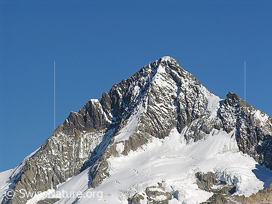Foto: Gipfelaufbau des Aleschhorns von S (Sparrhorn)
Davor der Oberaletschgletscher.
