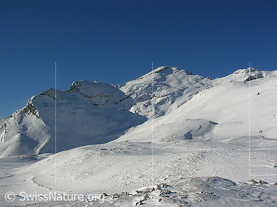 Foto: Im Aufstieg zum Böli in schneebedeckter Winterlandschaft. Blick zum Schibengütsch (Schrattenfluh).