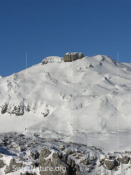 Foto: Blick vom Böli über schneebedeckte Hänge zum Türstenhäuptli (Schrattenfluh).