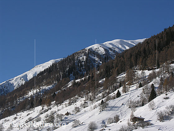 Foto: Blick von Obergesteln Richtung Westen über schneebedeckte, leicht bewachsene Hänge, Gräben und Schutzwälder auf langgezogene Bergrücken.
