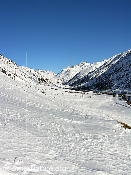 Foto: Blick von Realp über das schneebedeckte Urserntal zum Rossbodenstock.