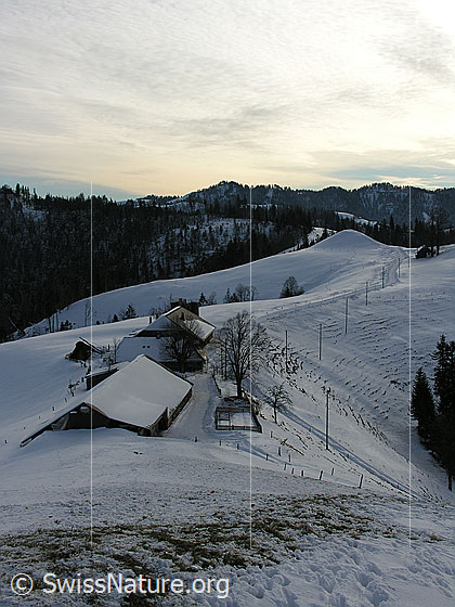 Foto: Krete mit Alpbetrieb Vorderarni, Wasen, in schneebedeckter Emmentaler Hügellandschaft.