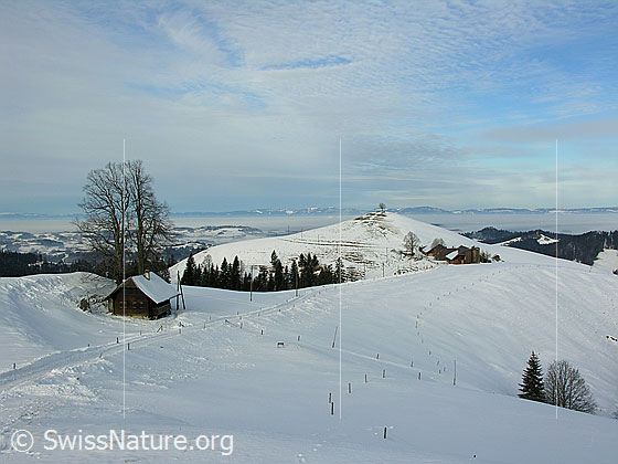 Foto: Schneebedeckte Emmentaler Hügellandschaft (Vorderarni) mit Nebelmeer über dem Mittelland. Im Hintergrund ist der Jura zu sehen.