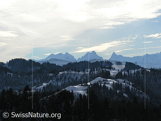 Foto: Blick vom Vorderarni Richtung Berner Alpen mit Wetterhorn, Schreckhorn und Finsteraarhorn. Im Vordergrund bewaldete und schneebedeckte Emmentaler Hügellandschaft.