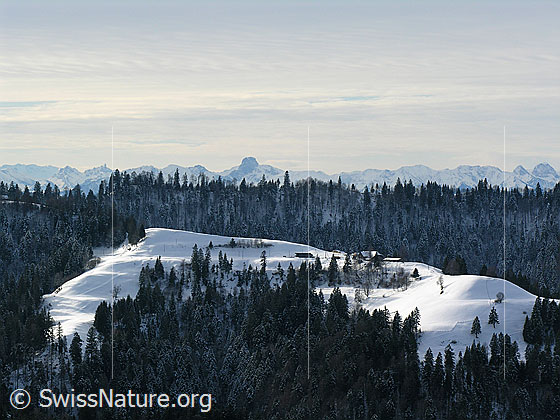 Foto: Blick über schneebedeckte Emmentaler Kreten und Wälder zur Stockhornkette.