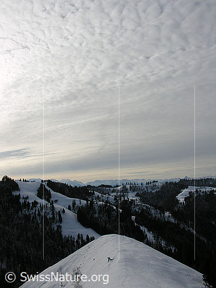 Foto: Blick vom Hinterarni über schneebedeckte Emmentaler Hügellandschaft Richtung Berner Alpen. Der Himmel ist mit einer Wolkenschicht überzogen.