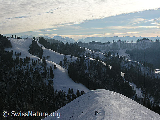 Foto: Blick vom Hinterarni über schneebedeckte Emmentaler Hügellandschaft Richtung Berner Alpen.