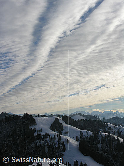 Foto: Blick vom Hinterarni über schneebedeckte Emmentaler Hügellandschaft Richtung Berner Alpen. Der Himmel ist mit einer Wolkenschicht überzogen.
