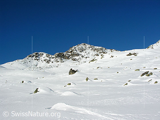 Foto: Chastelhorn und schneebedeckte Gebirgslandschaft. Felsblöcke ragen aus dem Schnee.
