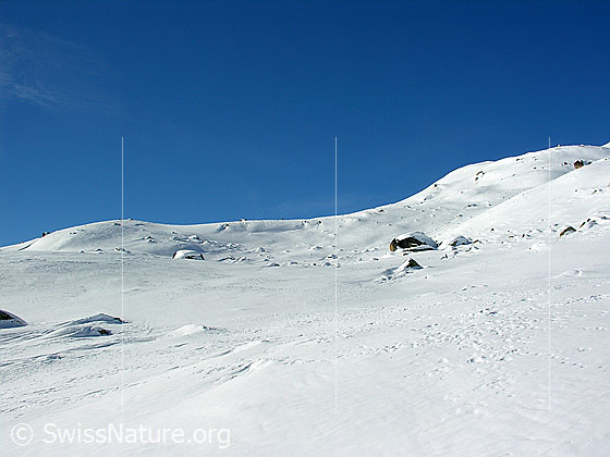 Foto: Schneefläche am Chastelhorn durchsetzt mit einigen Felsblöcken.