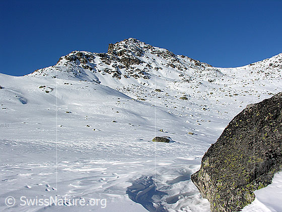 Foto: Chastelhorn, Wallis. Die Schneefläche ist mit Felsblöcken durchsetzt.