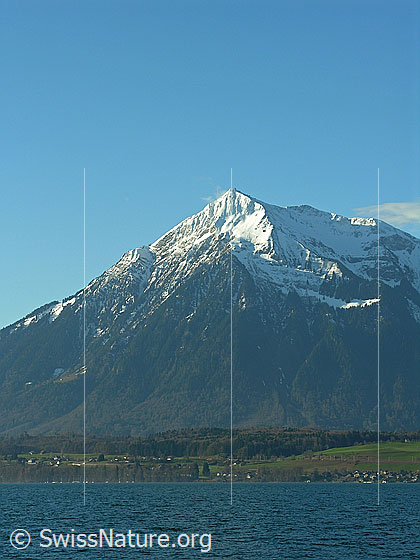 Foto: Blick über den Thunersee zum Niesen, welcher in der Gipfelregion noch schneebedeckt ist.