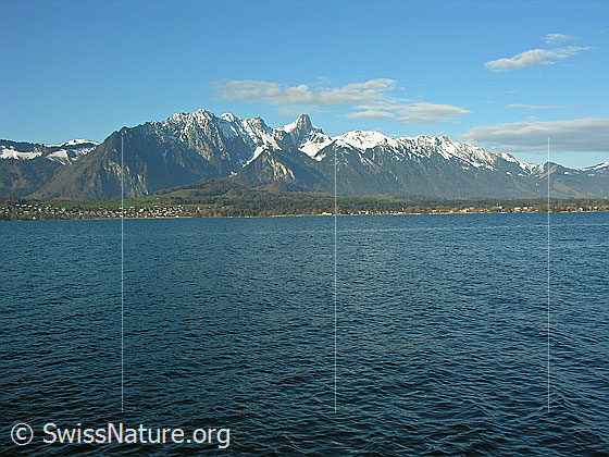 Foto: Blick über den Thunersee (Alpenrandsee) zur Stockhornkette.
