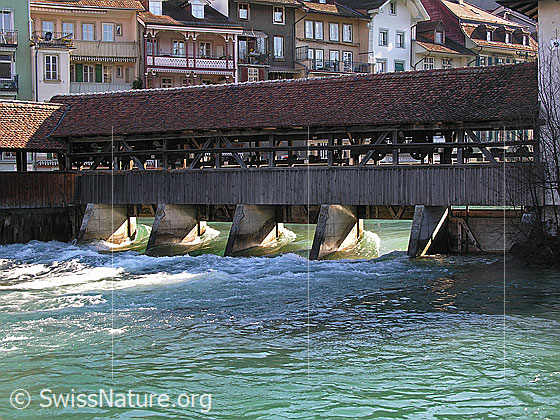 Foto: Wasserwehr mit Brücke in Thun, durch welches die Aare aus dem Thunersee fliesst.
