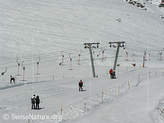 Foto: Doppelskilift