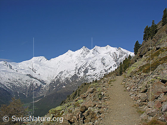 Foto: Wanderweg vor Alphubel und Mischabel.
Gipfel: Feekopf - Alphubel - Täschhorn - Dom - Lenzspitze - Nadelhorn - Stecknadelhorn - Ulrichshorn.