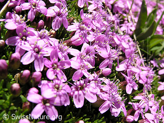 Photo: 